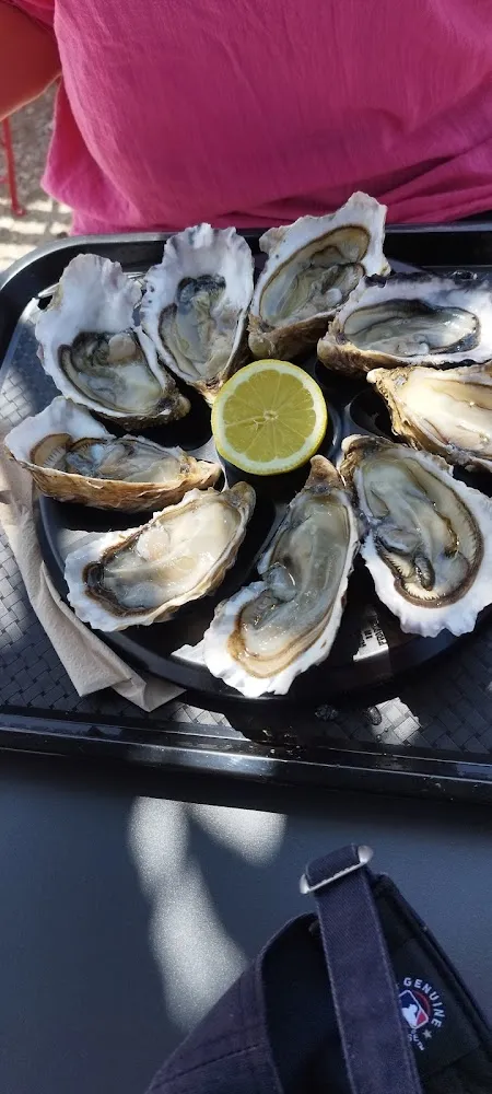Oysters